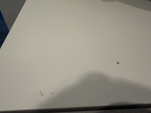 Kassiliivakasti kapp (IKEA) / peidetud kassitualeti kapp (6 foto / 6)