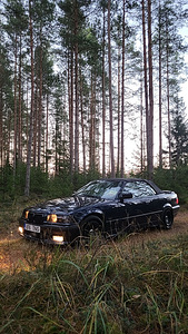 BMW 318 2.8 142кВт (5 фото из 14)