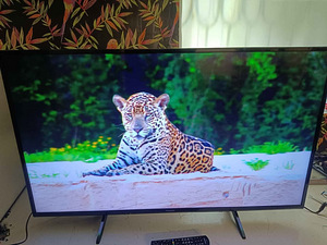 49" Panasonic Smart TV UHD 4K (4 фото из 5)