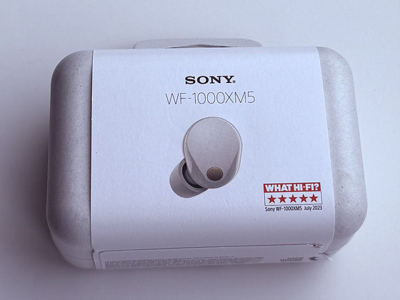 Sony WF-1000XM5 Platinum Silver