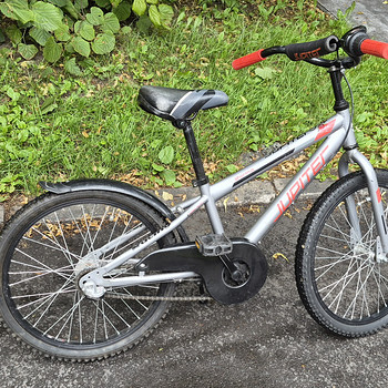 Laste jalgratas Jupiter, 20 tolli