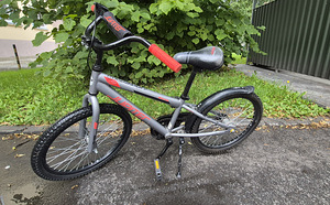Laste jalgratas Jupiter, 20 tolli (9 foto / 9)