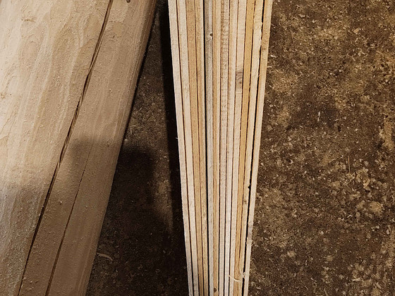 Shinglid