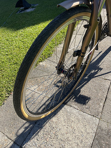 Meeste jalgratas Nishiki (9 foto / 9)