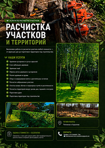 Расчистка участков и территорий (1 фото из 1)