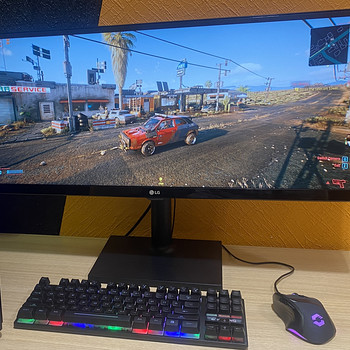 29" monitor