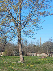 Põdra tee 10, Paldiski, Lääne-Harju vald, Harjumaa (4 фото из 4)