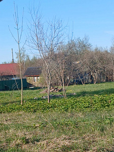 Põdra tee 10, Paldiski, Lääne-Harju vald, Harjumaa (1 фото из 4)