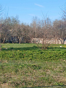 Põdra tee 10, Paldiski, Lääne-Harju vald, Harjumaa (2 фото из 4)