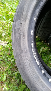 Шины Gislaved Nord Frost 5 205 / 50 R17 93T extra load m+s (7 фото из 7)
