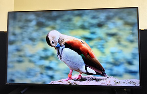 50" Philips 4K UHD Android Ambilight телевизор (7 фото из 9)