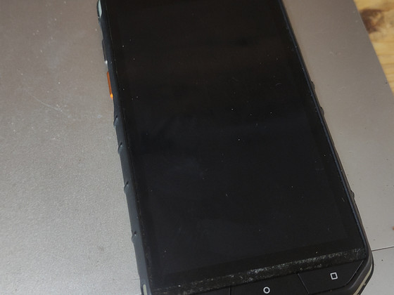 Cat S31
