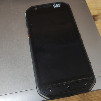 Cat S31