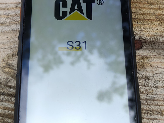 Cat S31
