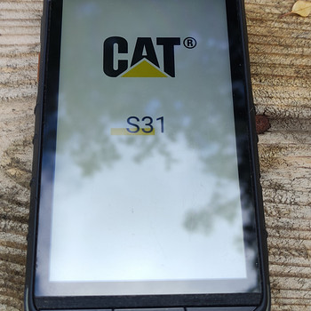 Cat S31