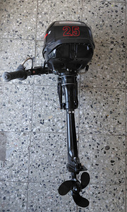 Päramootor SUZUKU DF 2.5 (3 foto / 10)
