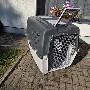Suur koera transpordipuur