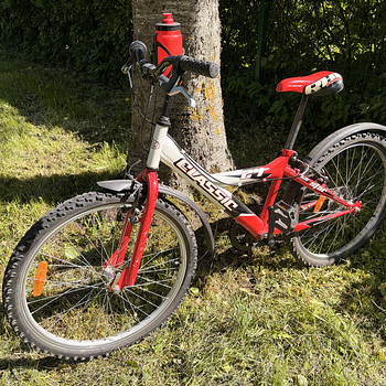 Laste jalgratas Classic Star 1.9 24"
