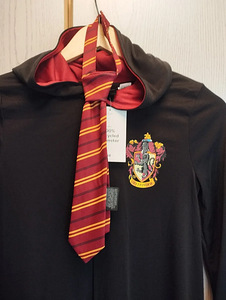 Новый 3-комплектный карнавальный костюм Harry Potter от H&M (2 фото из 3)