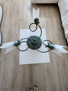 Müüakse laelühter (1 foto / 1)
