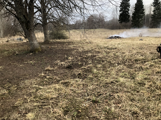Solli, Kaavere, Põltsamaa vald, Jõgevamaa