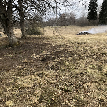 Solli, Kaavere, Põltsamaa vald, Jõgevamaa