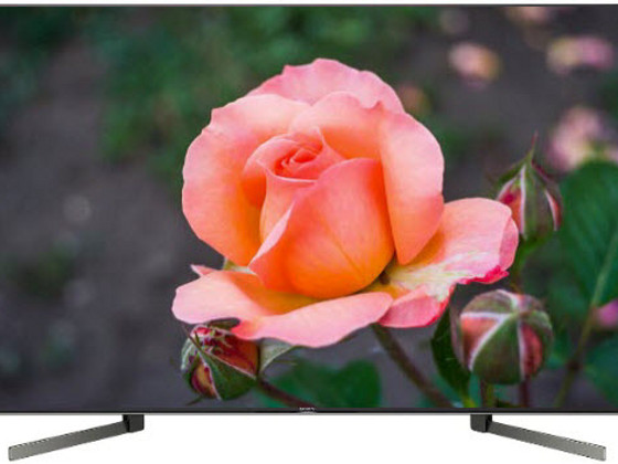 Телевизор Sony KD-55XG9505