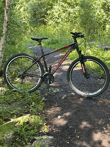 Jalgratas Bottecchia Sport Concept SC (1 foto / 9)