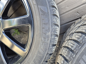 Audi veljed+rehvid (8 foto / 8)