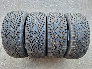 Шипованные шины 215/55/R17 Nankang Ice Activa SW-8 (1 фото из 3)