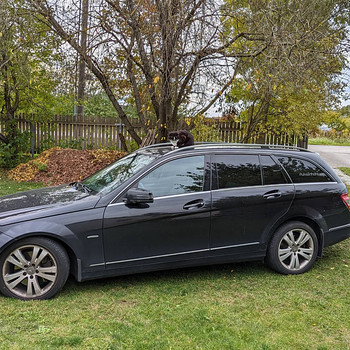 Mercedes Benz 320cdi 4matic 165kw Avantgarde