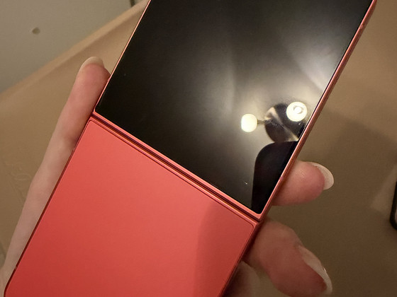 Samsung Galaxy Z Flip7 256 GB Pink