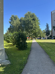 Uusküla tn 1, Kreenholmi, Narva, Ida-Virumaa (4 foto / 27)