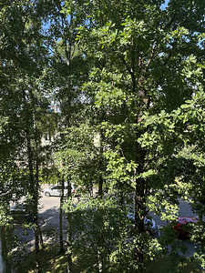 Uusküla tn 1, Kreenholmi, Narva, Ida-Virumaa (16 foto / 27)