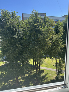 Uusküla tn 1, Kreenholmi, Narva, Ida-Virumaa (25 foto / 27)