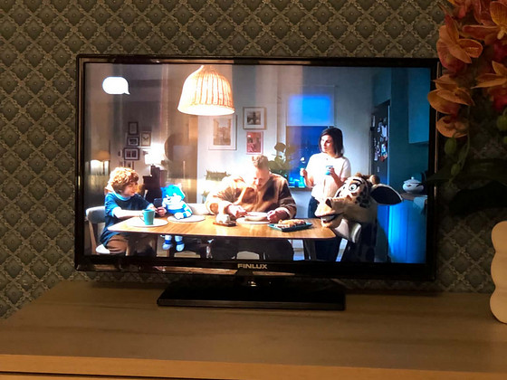 Töökorras telekas FINLUX 24tolli.