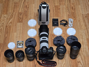 Canon EOS 6D Mark II с объективами, в рюкзаке (4 фото из 10)