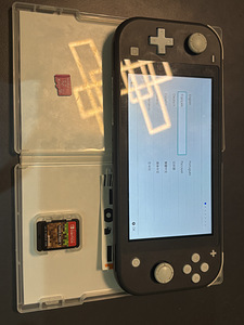 Müün Nintendo Switch Lite’i (3 foto / 3)