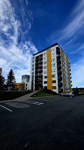 Priisle tee 2, Lasnamäe, Tallinn, Harjumaa (27 фото из 27)