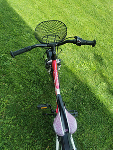 Kross tüdrukute jalgratas 20" (3 foto / 10)