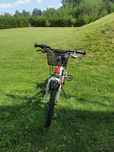 Kross tüdrukute jalgratas 20" (4 foto / 10)