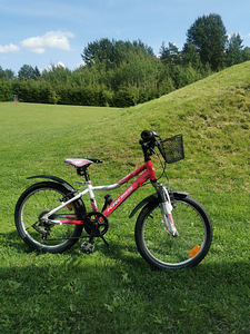 Kross tüdrukute jalgratas 20" (2 foto / 10)