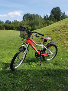 Kross tüdrukute jalgratas 20" (1 foto / 10)