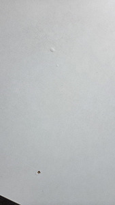 Elektriliselt reguleeritava kõrgusega laud 80x180 (5 foto / 6)