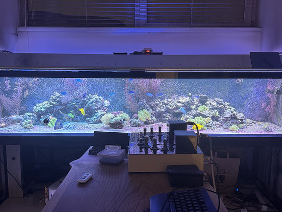 830-liitrine akvaarium ja septik koos varustusega.