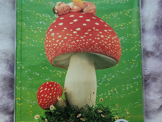 Fotoalbum