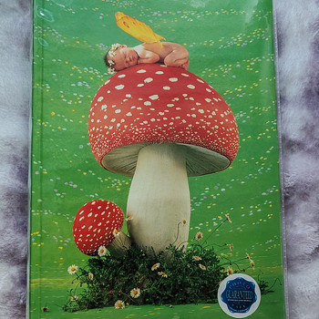 Fotoalbum