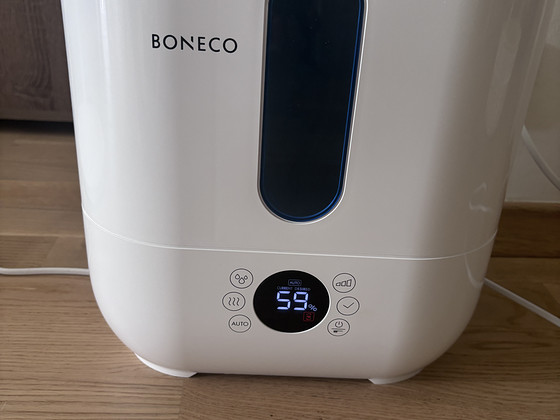 Boneco