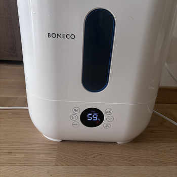 Boneco