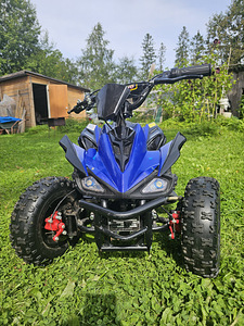 Laste Atv (4 foto / 6)